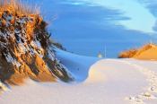 SandDunes_PlumIsland_PhotoTodonnell2015